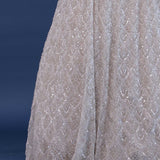 Platinum Grey Netted Lehenga Set