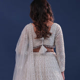 Platinum Grey Netted Lehenga Set