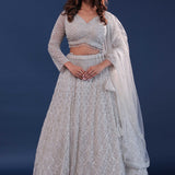 Platinum Grey Netted Lehenga Set