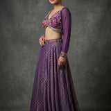 Deep Purple Crepe Lehenga Choli With Embroidered Floral Bustier & Striped Skirt