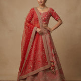 Crimson Elegance Embroidered Silk Lehenga Set - Bridal Jaal & Border Highlight