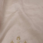 Pale Pink Tissue Organza Saree With Embroidery Border